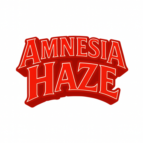 Hafıza Kaybı… Hafıza Kaybı…